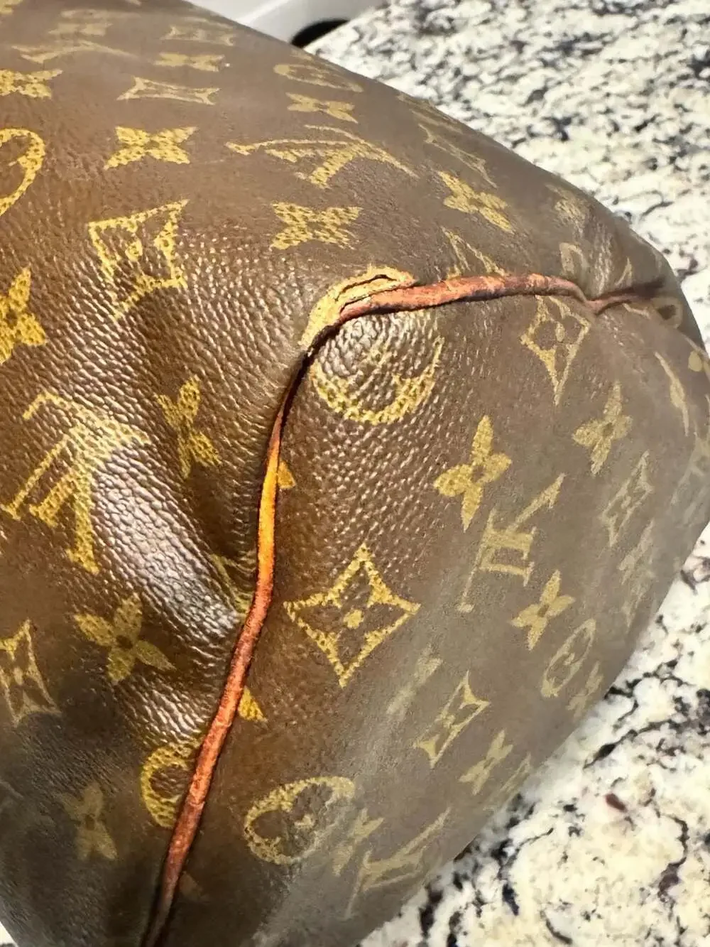 Louis Vuitton Monogram Speedy 30 Handbag | LegitApp COA | Clean Interior